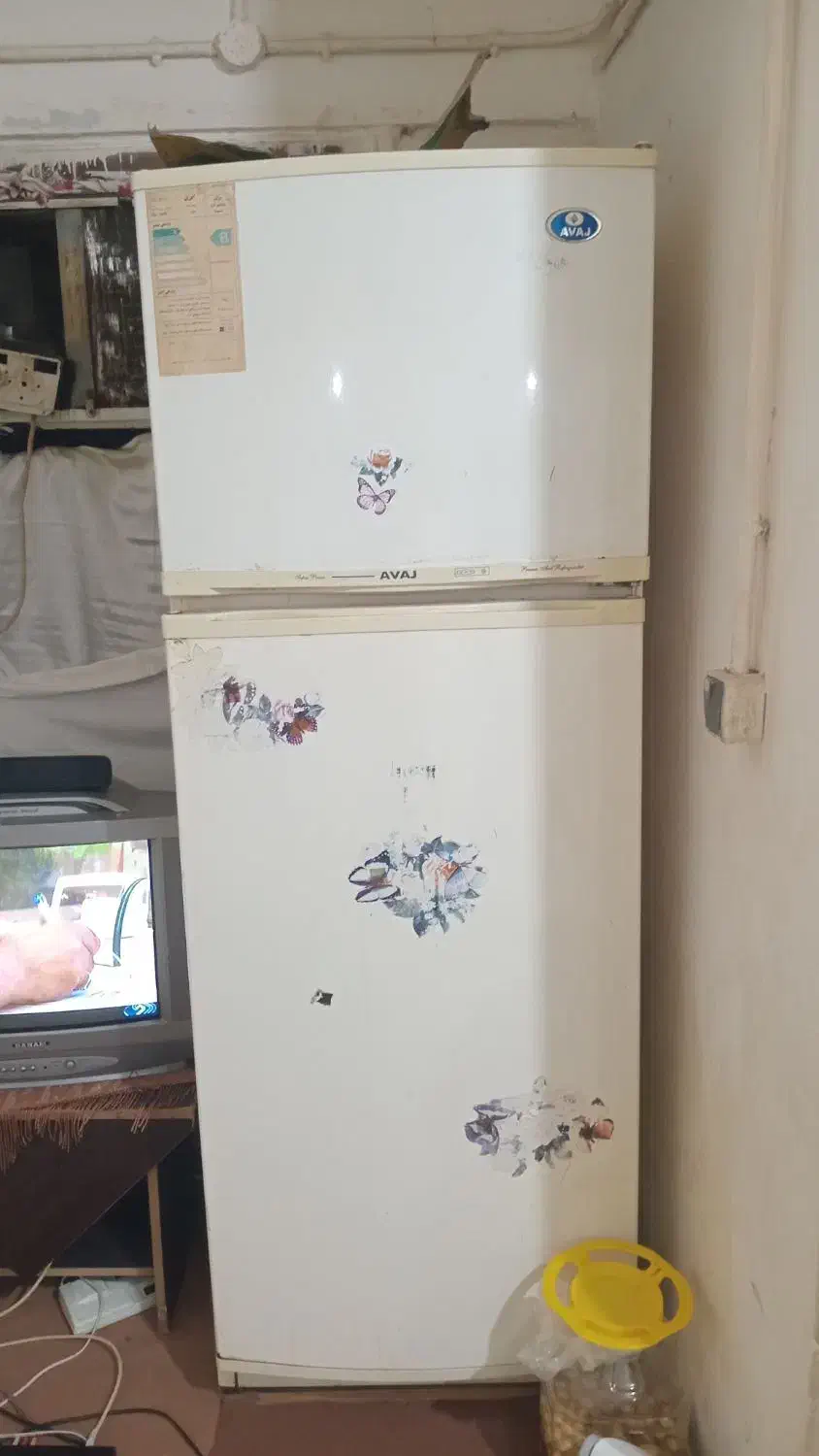 یخچال فلیزش سالم است پاین باید درست شود|یخچال و فریزر|کنارک, |دیوار