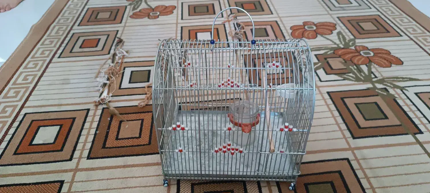 قفس|لوازم جانبی حیوانات|شاهینشهر, گرگاب|دیوار