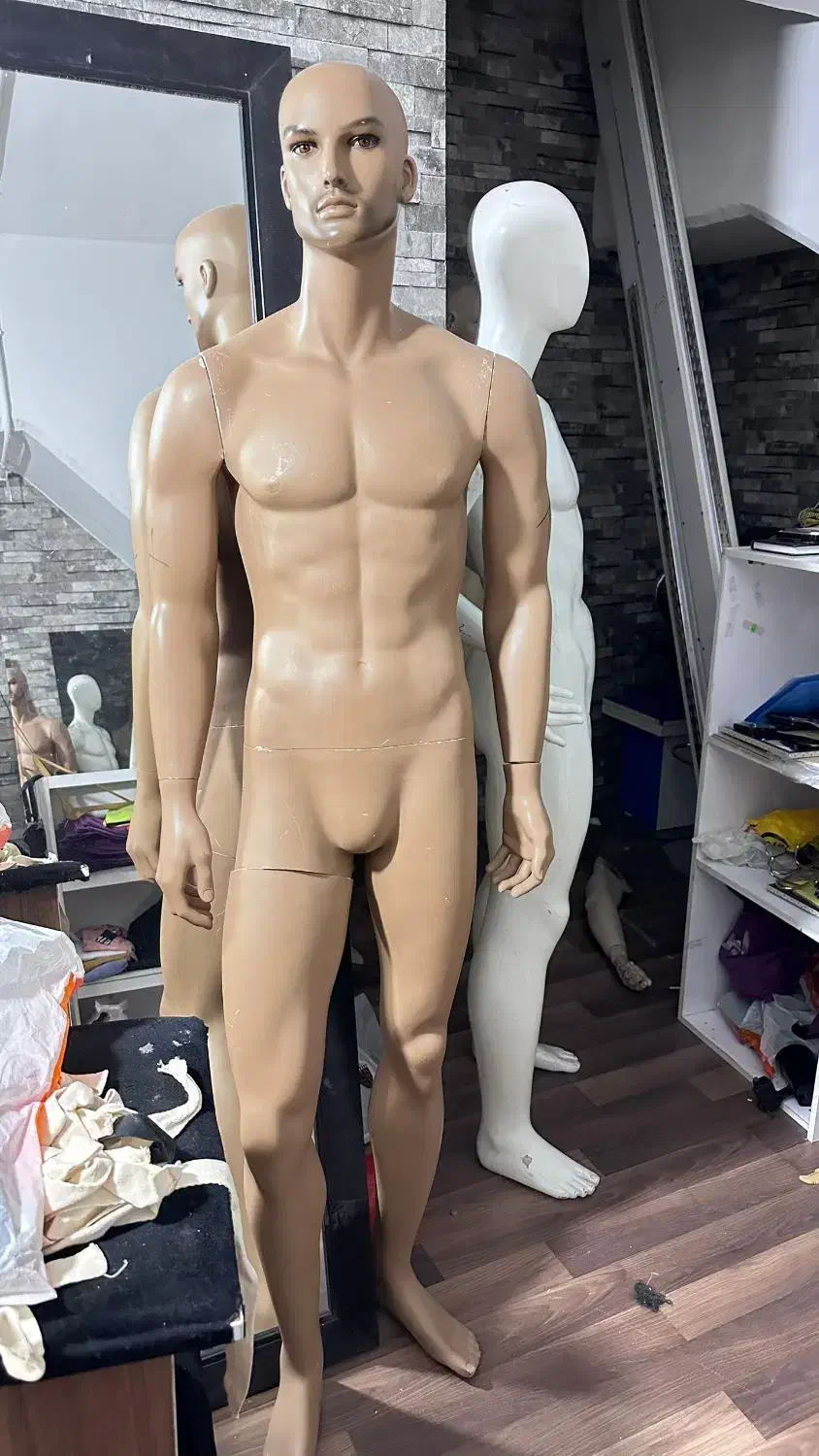 مانکن مردانه|فروشگاه و مغازه|شیراز, شهرک گلستان|دیوار