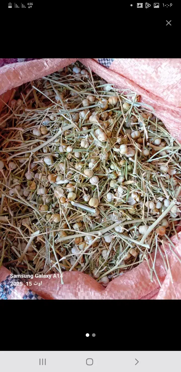 اسپند محلی|حراج|قروه, |دیوار