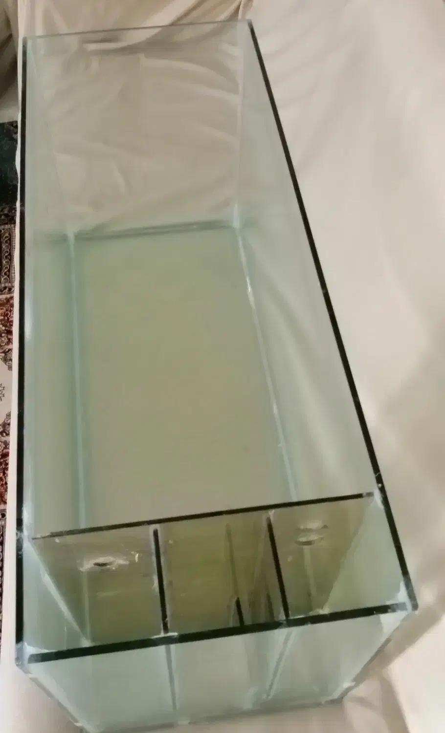 آکواریوم|ماهی|فردوس (خراسان), |دیوار