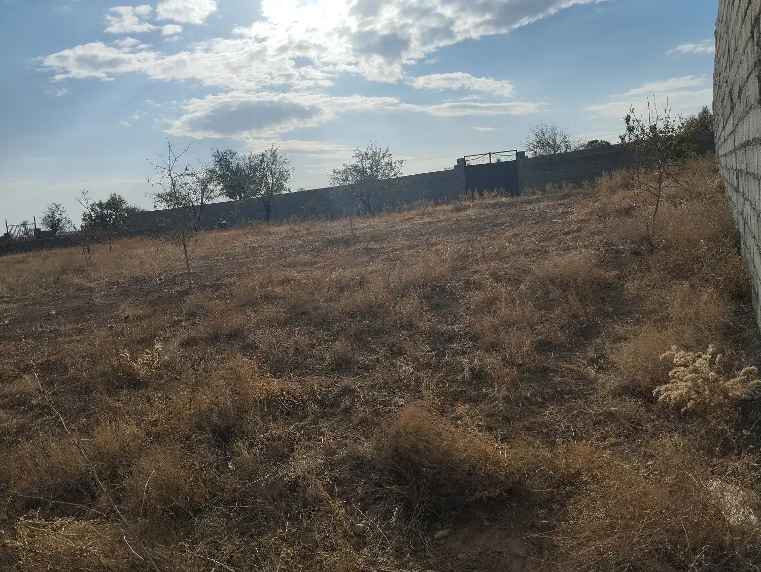 زمین در روستای سرکندیزج|فروش زمین و ملک کلنگی|صوفیان, |دیوار