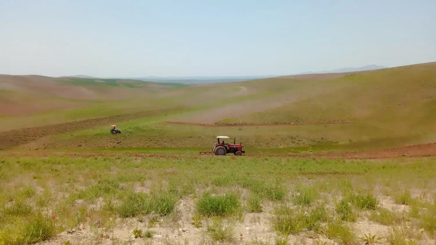 زمین کشاورزی دیم ۱۲ تغار سند دار(۱۲کیسه)|فروش دفتر صنعتی، کشاورزی، تجاری|دیواندره, |دیوار