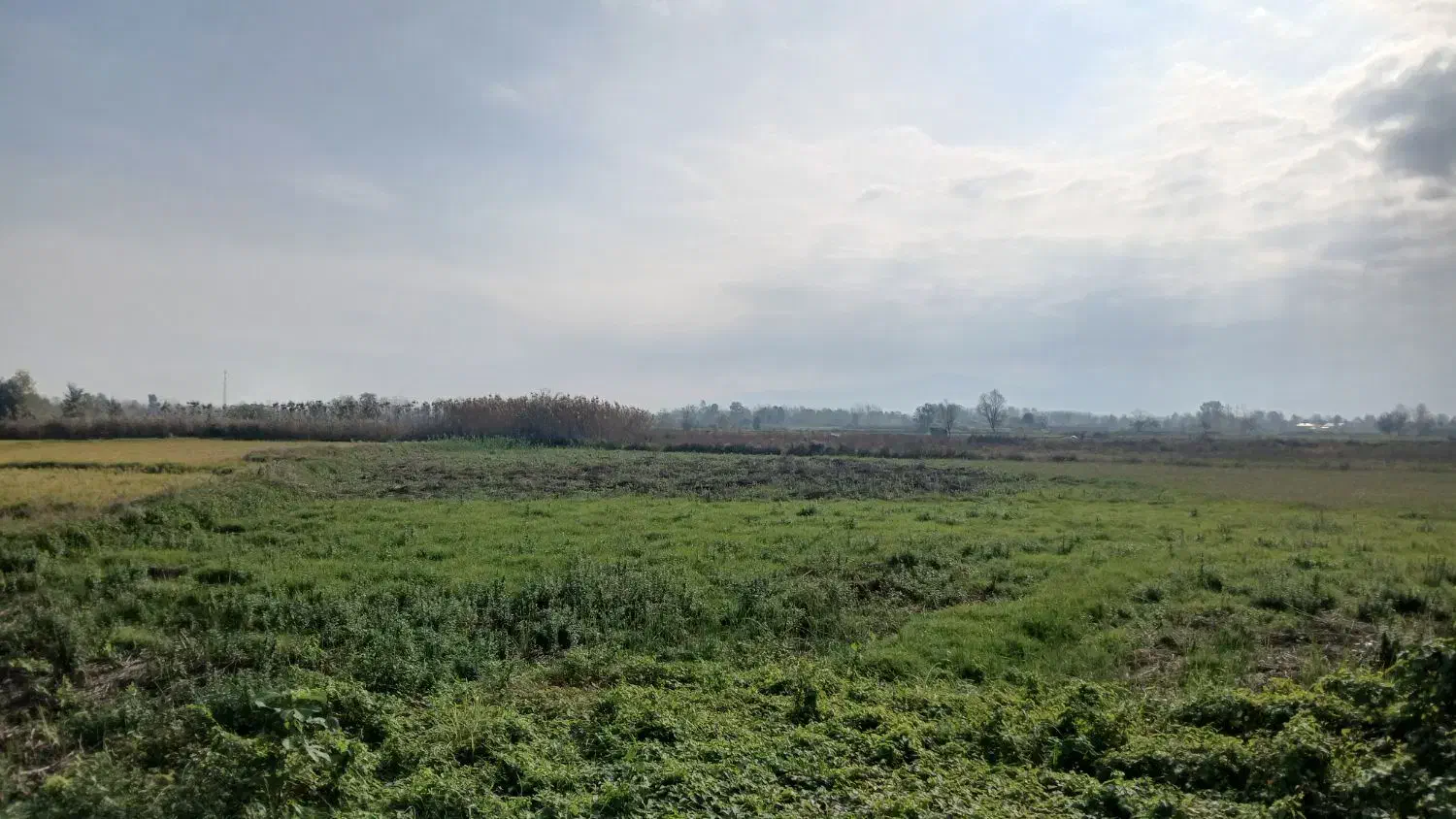 ۵۰۰مترزمین داخل طرح ویشگاننک سنگررشت|فروش زمین و ملک کلنگی|سنگر, |دیوار