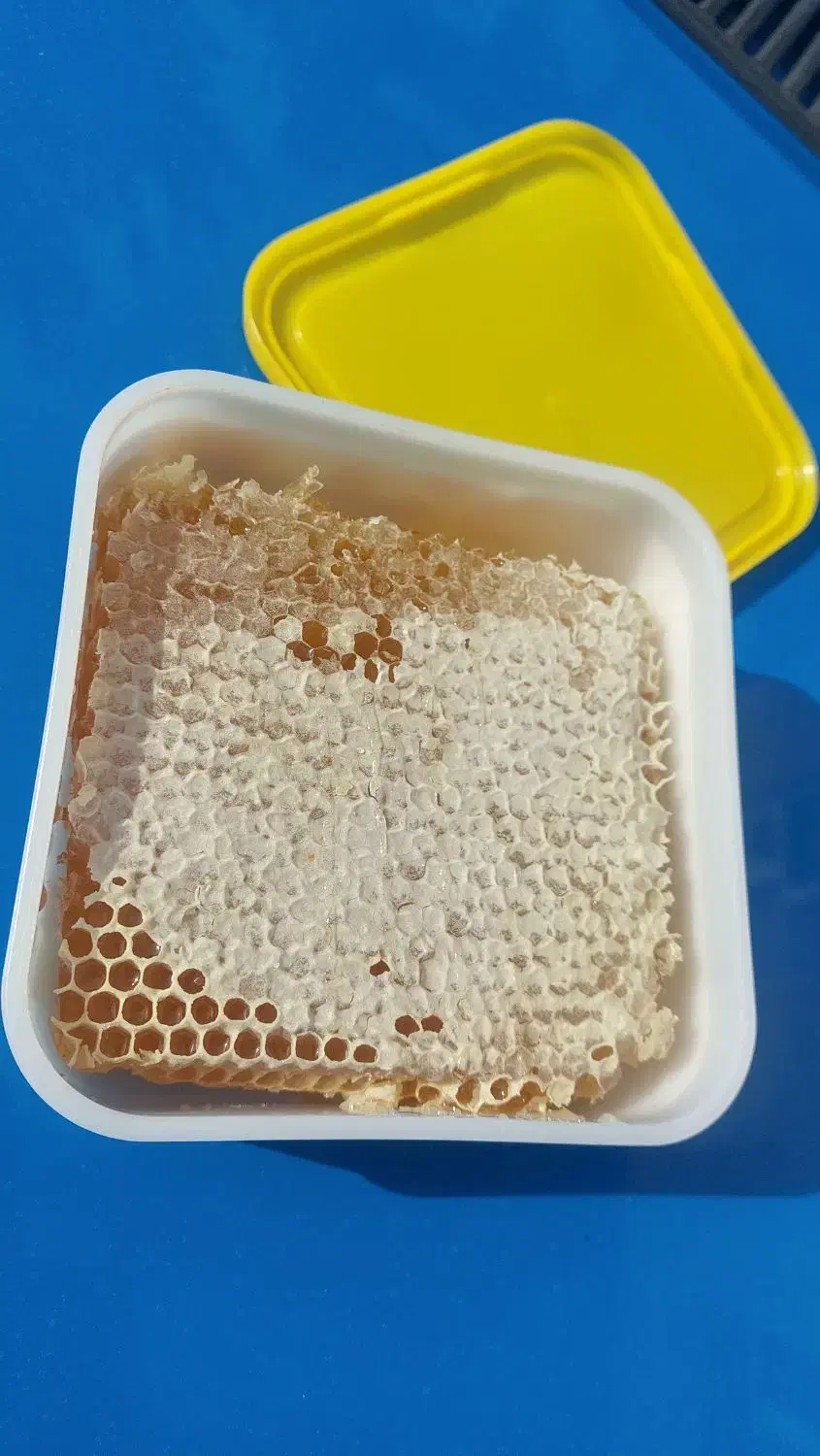 فروشنده خانم|استخدام بازاریابی و فروش|مشگین شهر, |دیوار