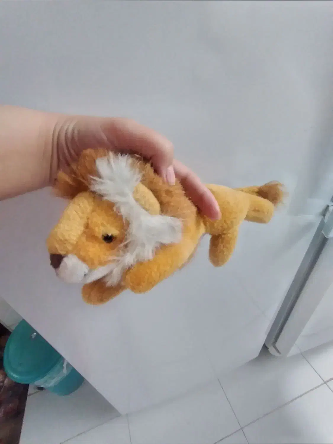 عروسک|اسباببازی بچه|فولادشهر, B2|دیوار