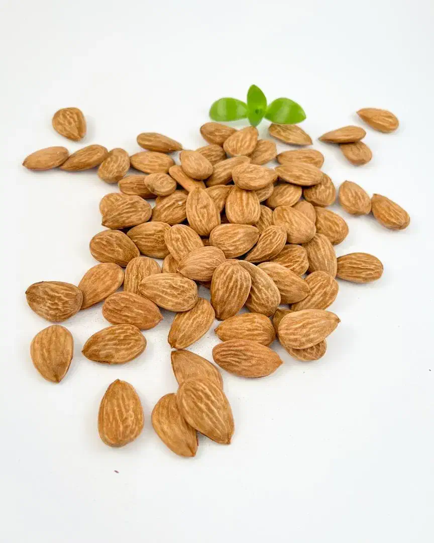 عمده فروشی|خوردنی و آشامیدنی|زاینده رود, |دیوار