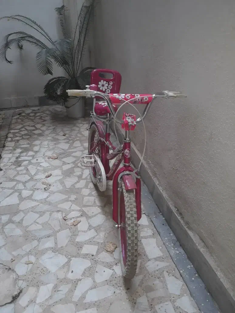 دوچرخه دخترانه|دوچرخه، اسکیت، اسکوتر|رشت, معلم|دیوار