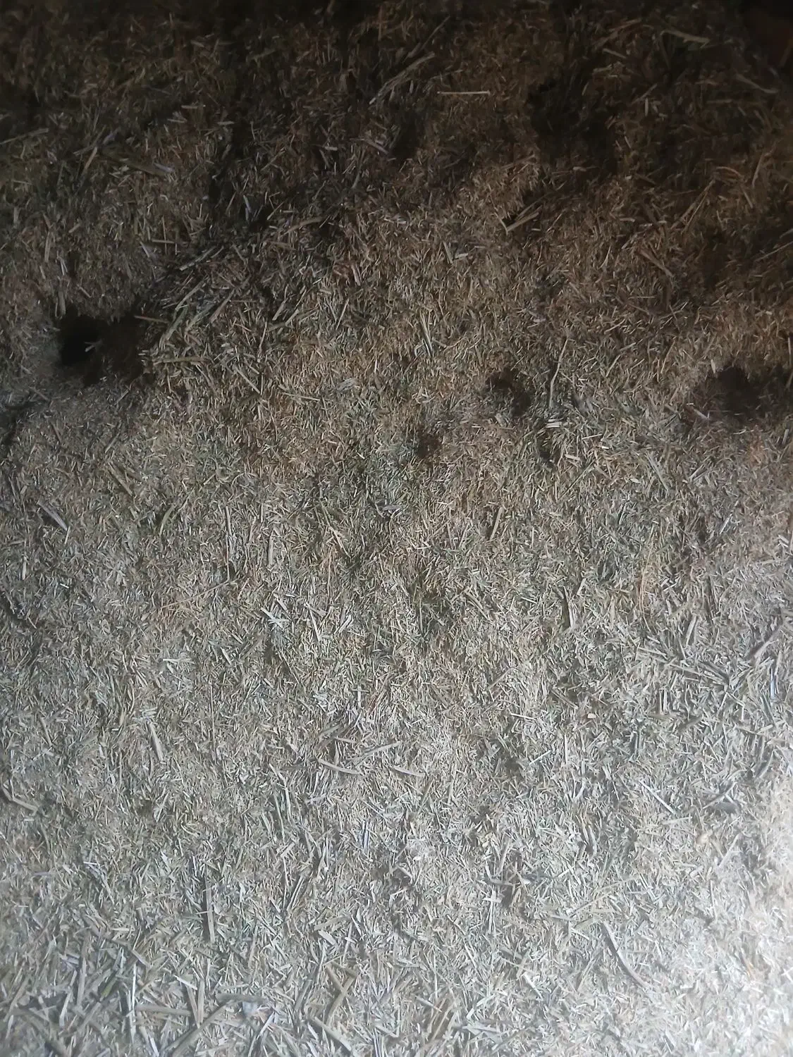 کاه|لوازم جانبی حیوانات|سیلاخور, |دیوار