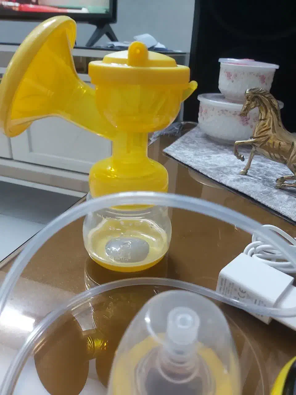 شیردوش برقی|اسباب و اثاث بچه|ری, شهادت|دیوار