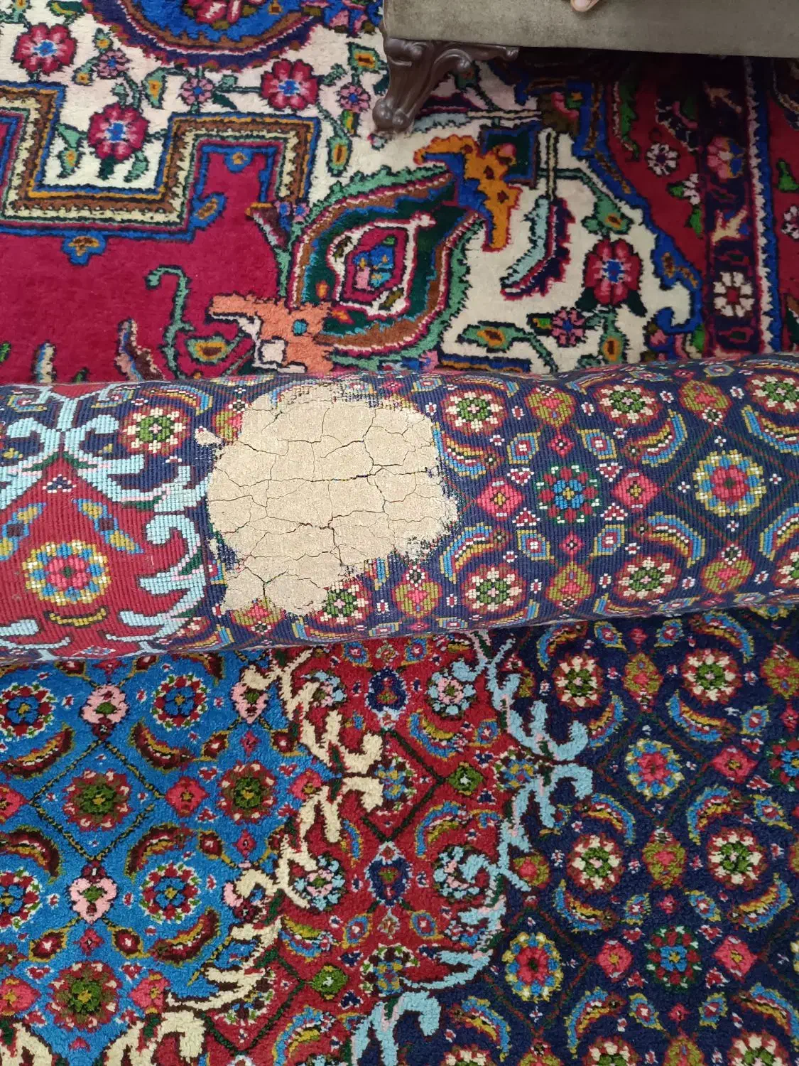 فرش دستباف ۶ متری|فرش|اردبیل, |دیوار