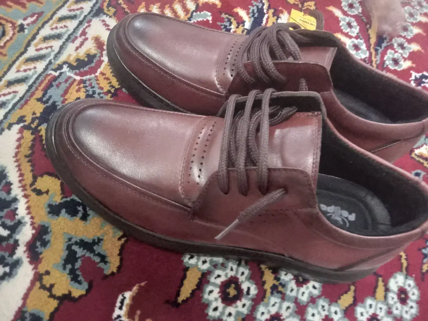 کفش مردانه|کیف، کفش، کمربند|گناباد, |دیوار