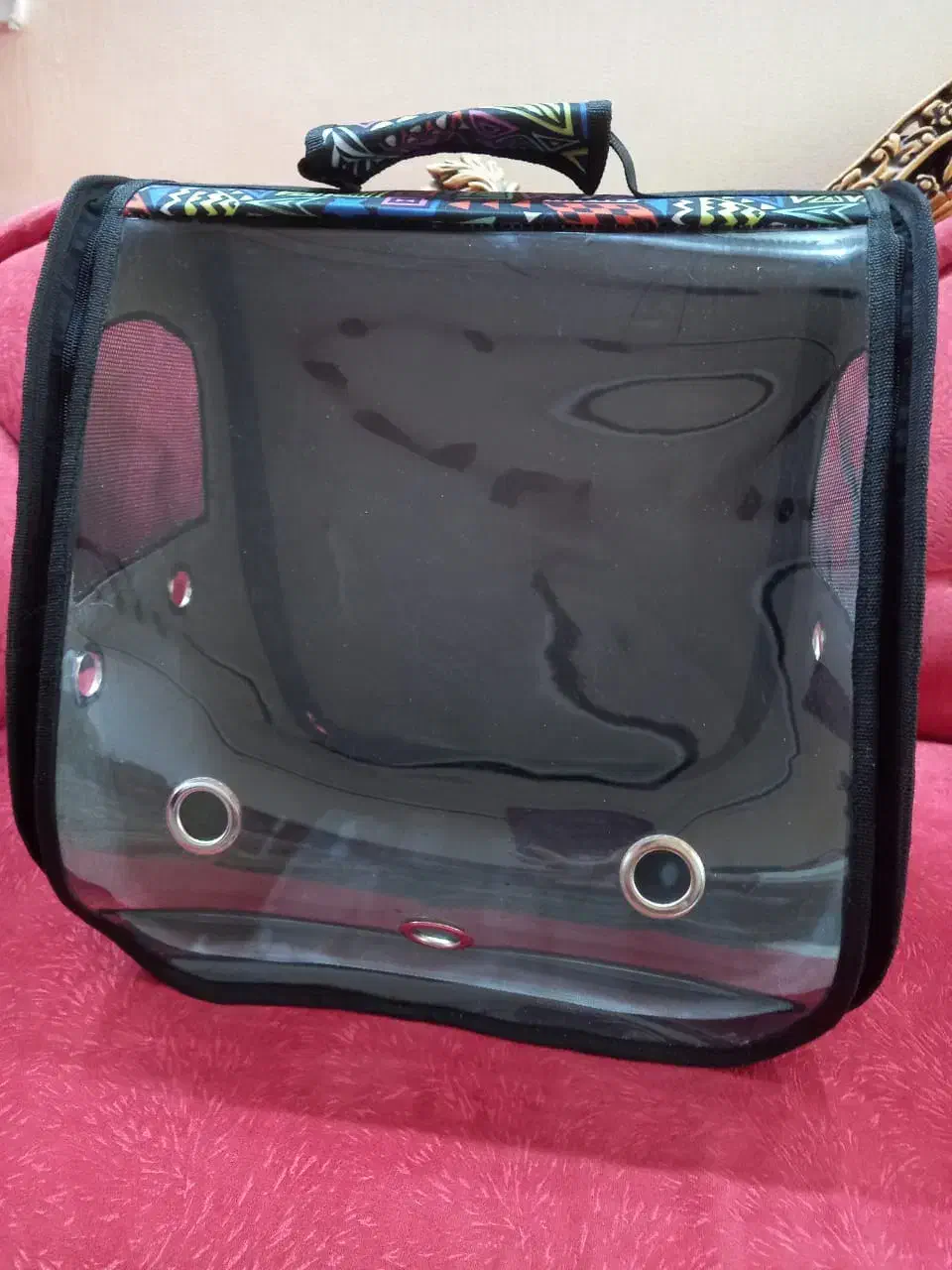 کیف حمل پرنده برای عروس هلندی یا طوطی و گربه|لوازم جانبی حیوانات|شیراز, گلشن|دیوار