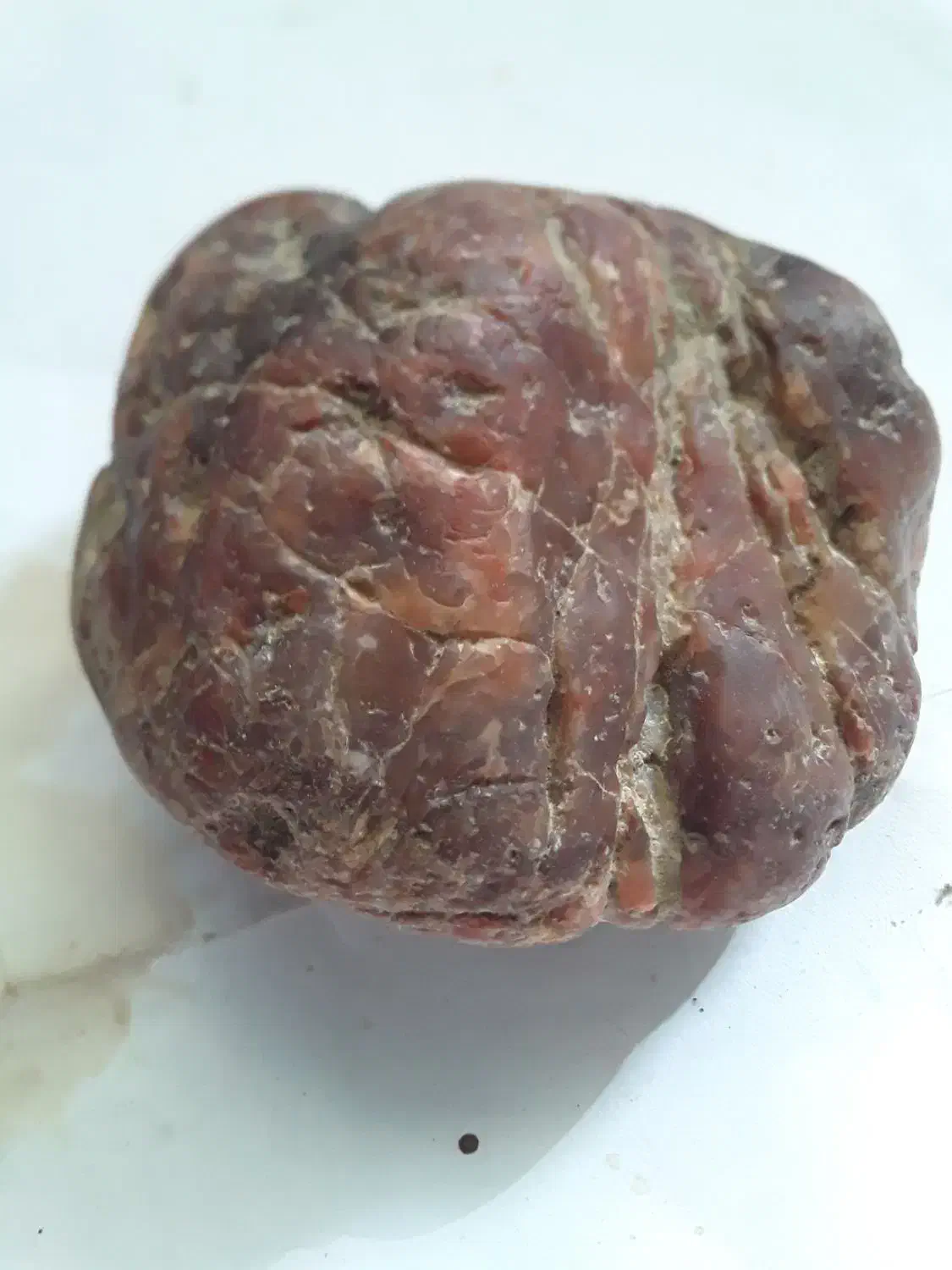 سنگ آسمانی|کلکسیون اشیاء عتیقه|کلیبر, |دیوار