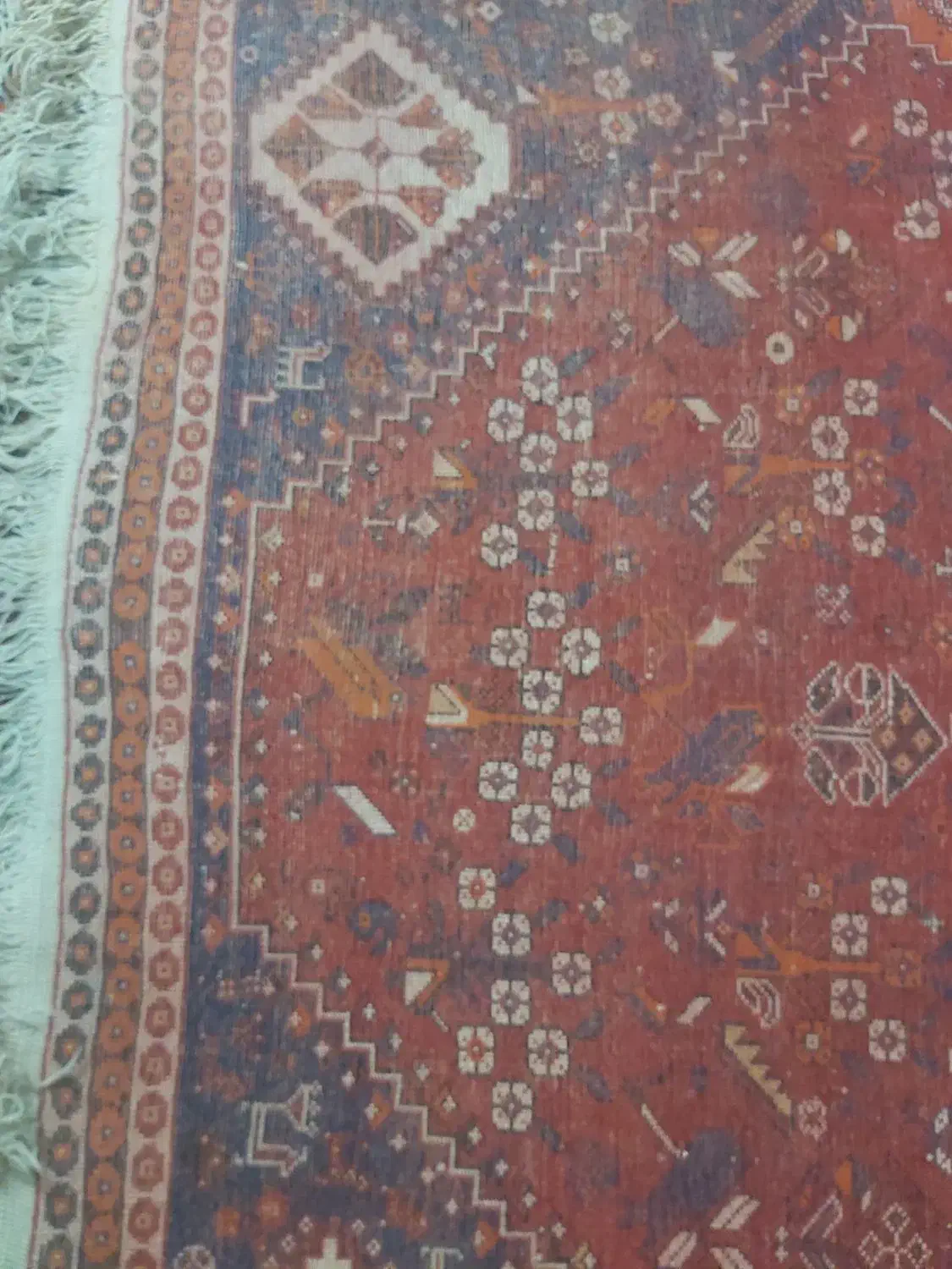 فرش ۶متری دستباف ترکی و نجف آبادی|فرش|شیراز, تحویلی|دیوار