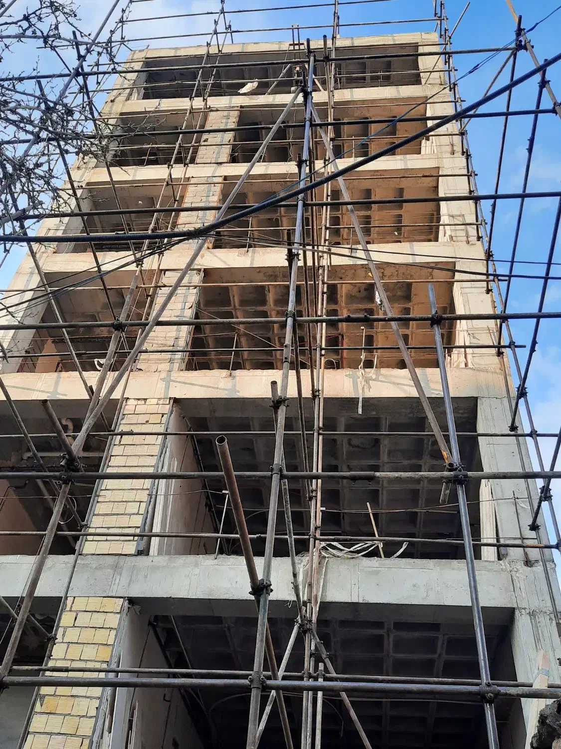 شاه.     جهان|خدمات پیشه و مهارت|مشهد, نیروی هوایی|دیوار