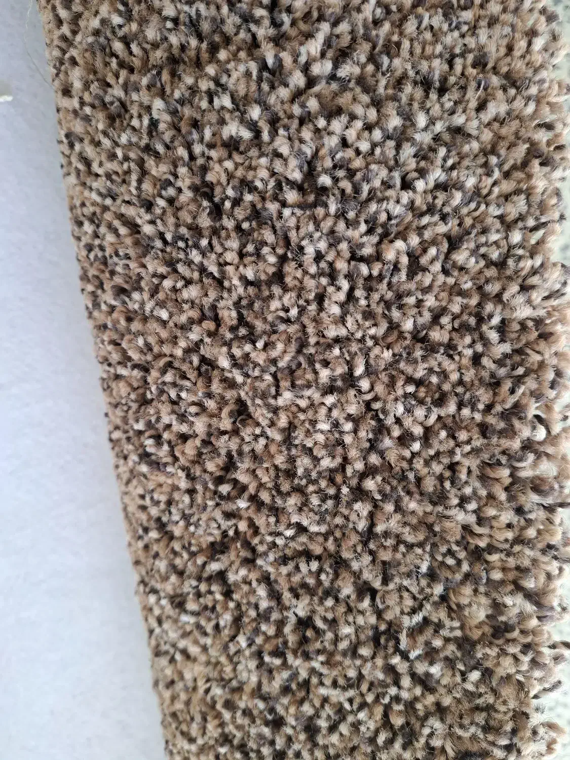 موکت پرز بلند|موکت|بروجرد, |دیوار