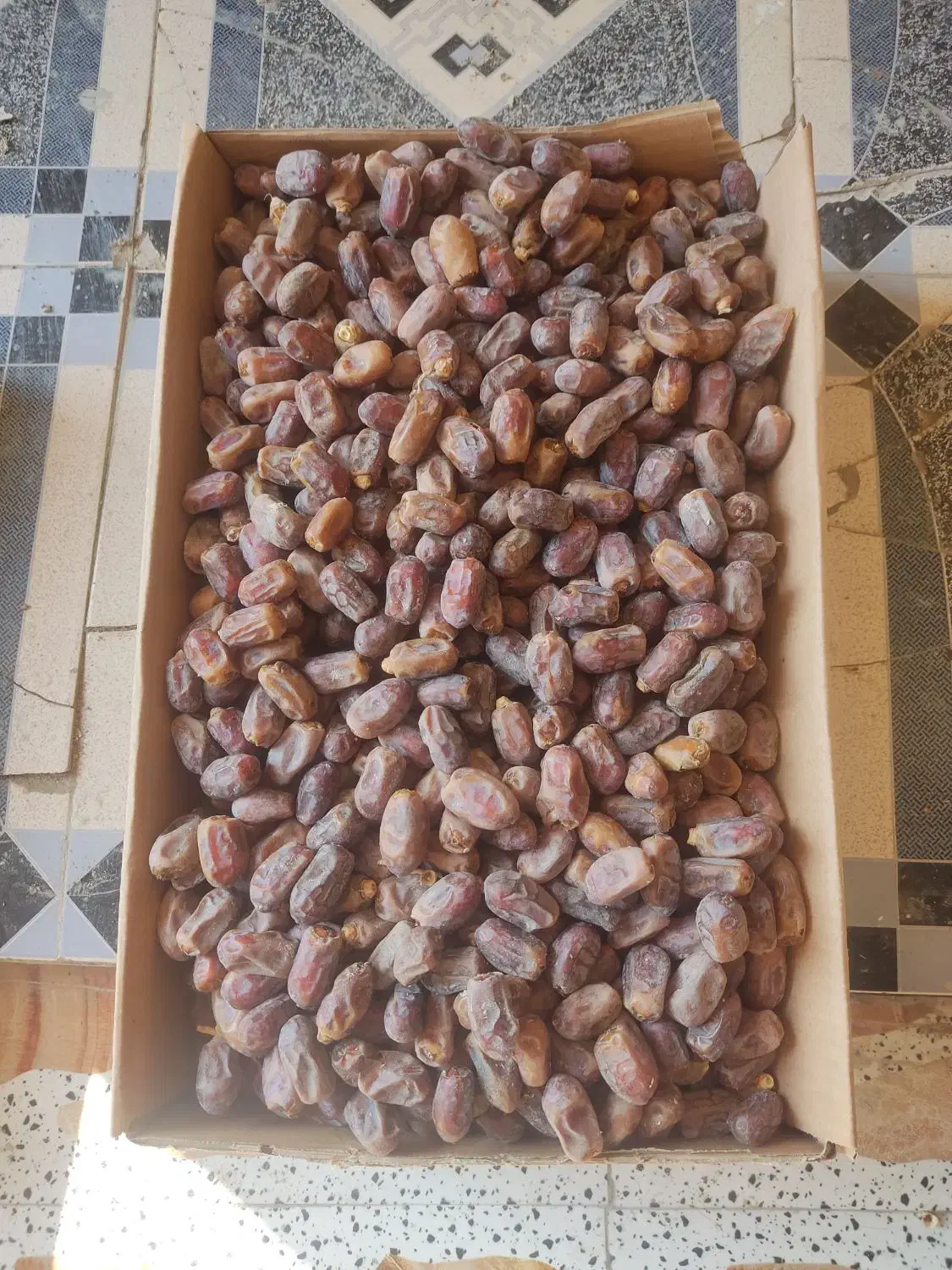 خرماه سعمران زاهدی درجه یک کاز شداه|عمده‌فروشی|شادگان, |دیوار