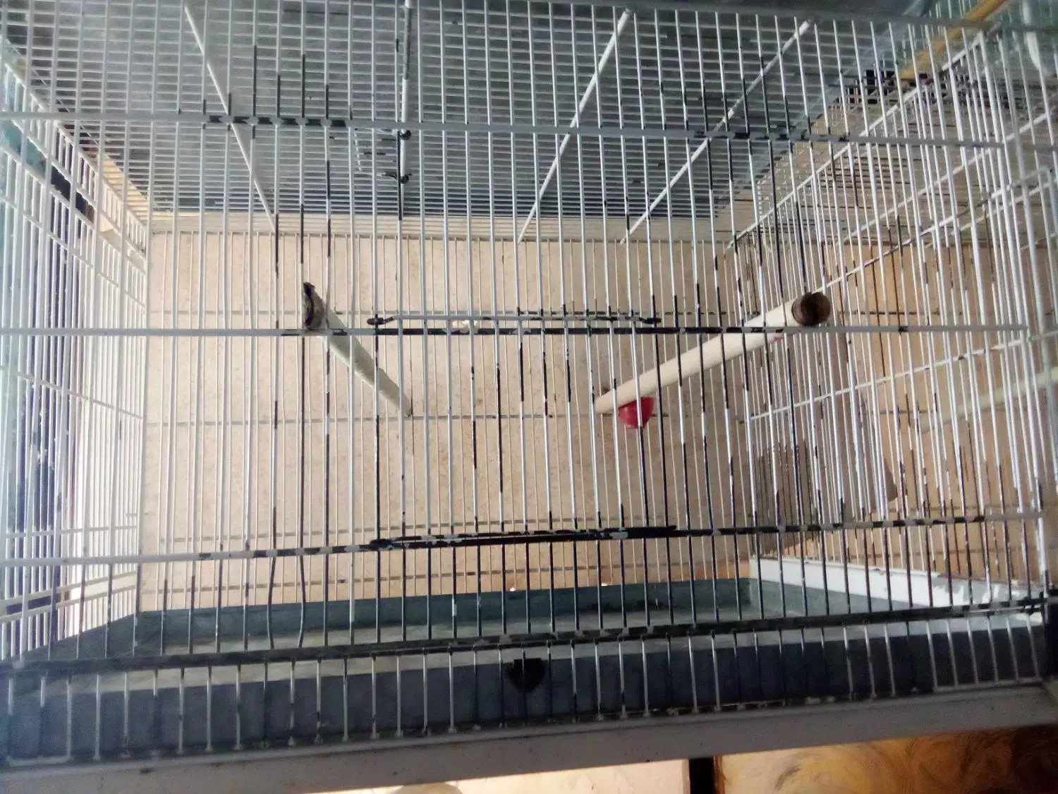 قفس پرون ۱۲۸ سانتی|لوازم جانبی حیوانات|مشهد, امیریه|دیوار