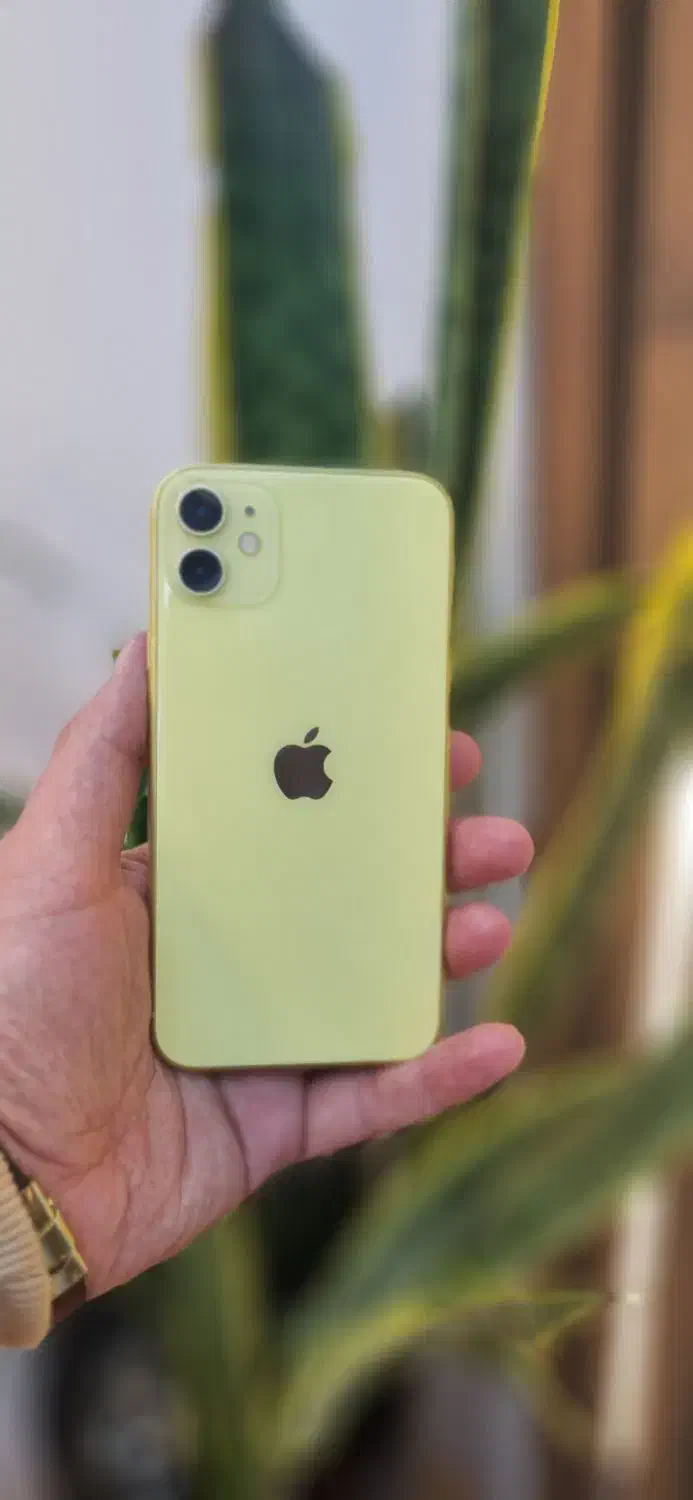 iphone 11 ایفون ۱۱ نرمال|موبایل|تهران, جردن|دیوار