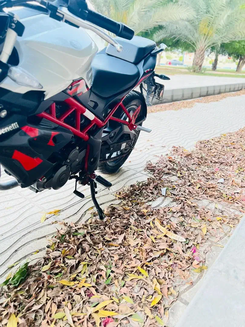 بنلی 250|موتورسیکلت|قشم, |دیوار