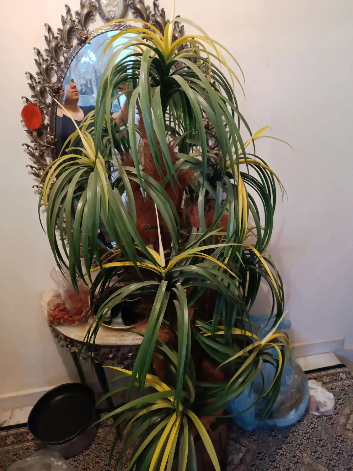 گلدان نخلی با گلدان سفالی|گل مصنوعی|تبریز, |دیوار