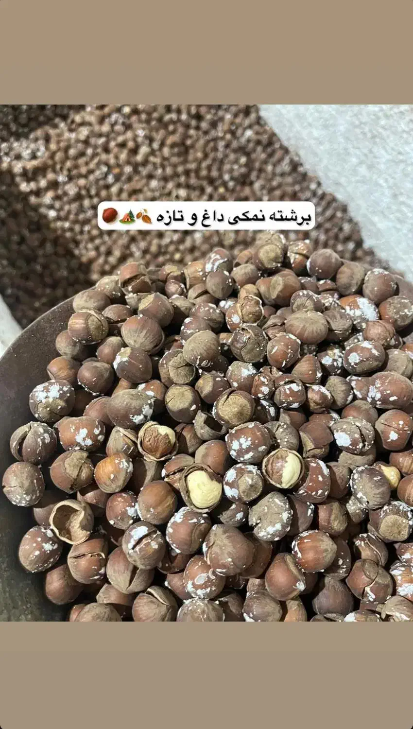 فندق|خوردنی و آشامیدنی|کرج, فاز ۴ مهرشهر|دیوار