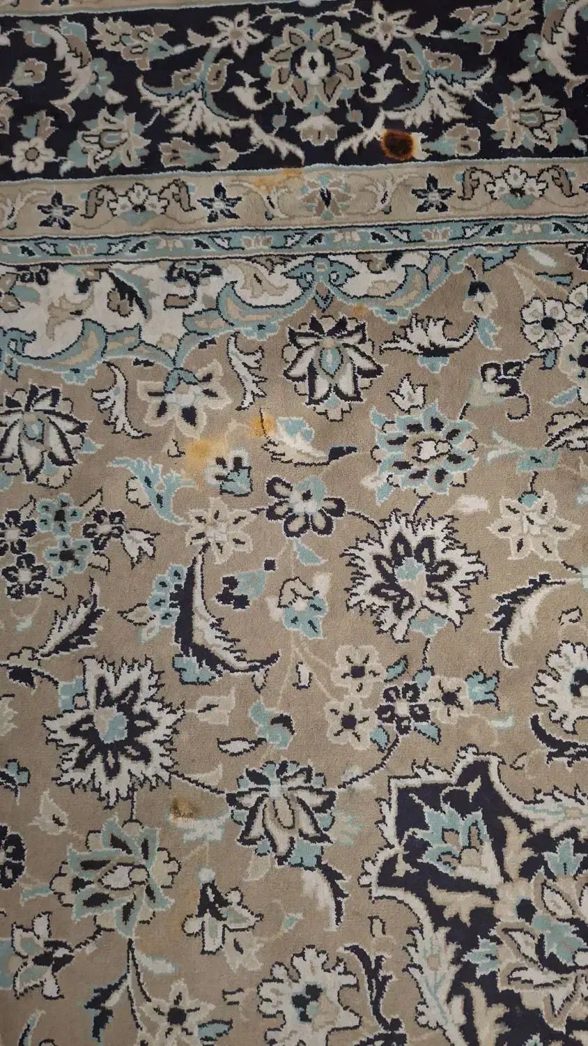 فرش 12 متری|فرش|مشهد, ایثارگران|دیوار