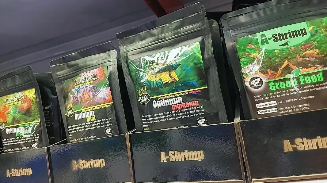 غذای ماهی درجه یک ای شریمپ|ماهی|قم, حاج خلیل|دیوار