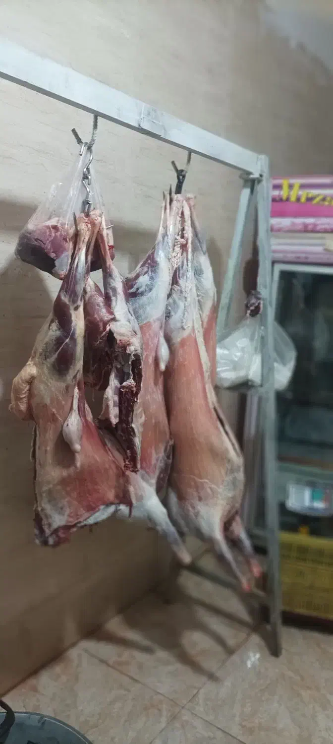 قصابیگوسفندی650|خوردنی و آشامیدنی|مریوان, |دیوار