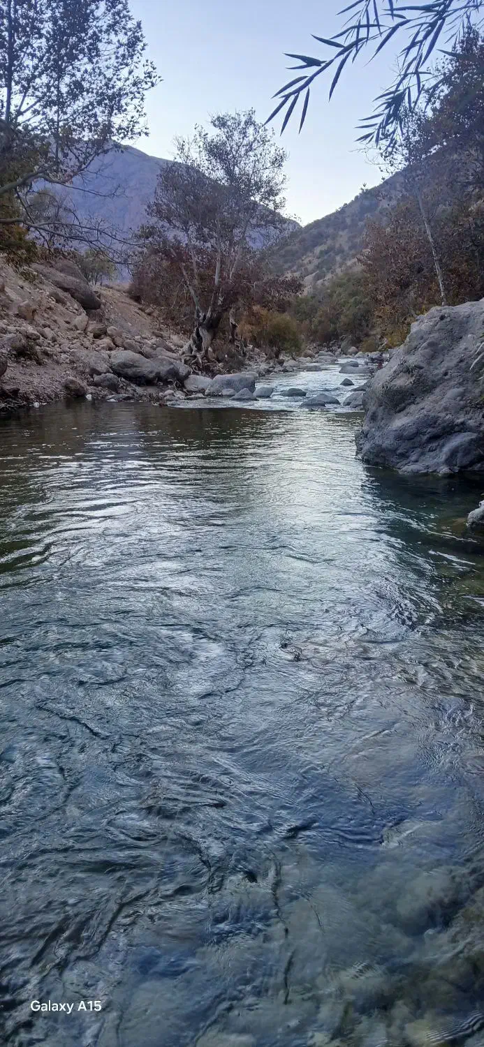 دوطلبانه|فعالیت داوطلبانه|تهران, میدان ولیعصر|دیوار