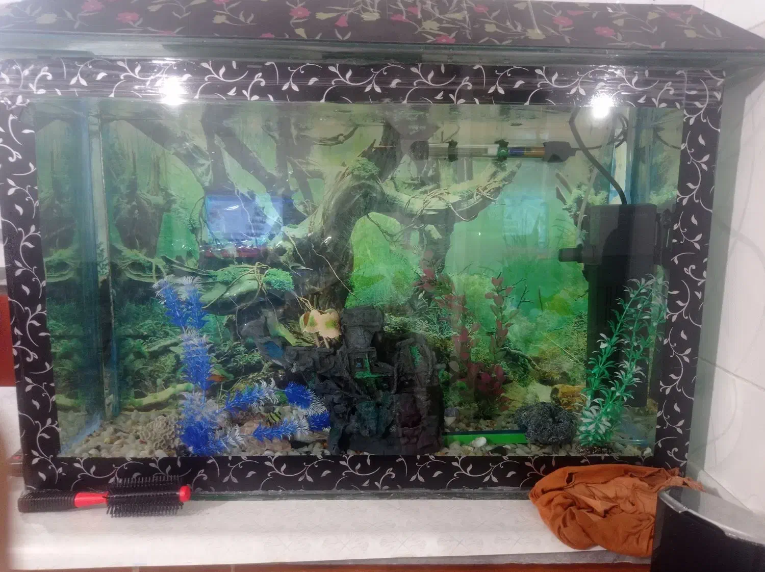 سنندج|ماهی|امیدیه, |دیوار