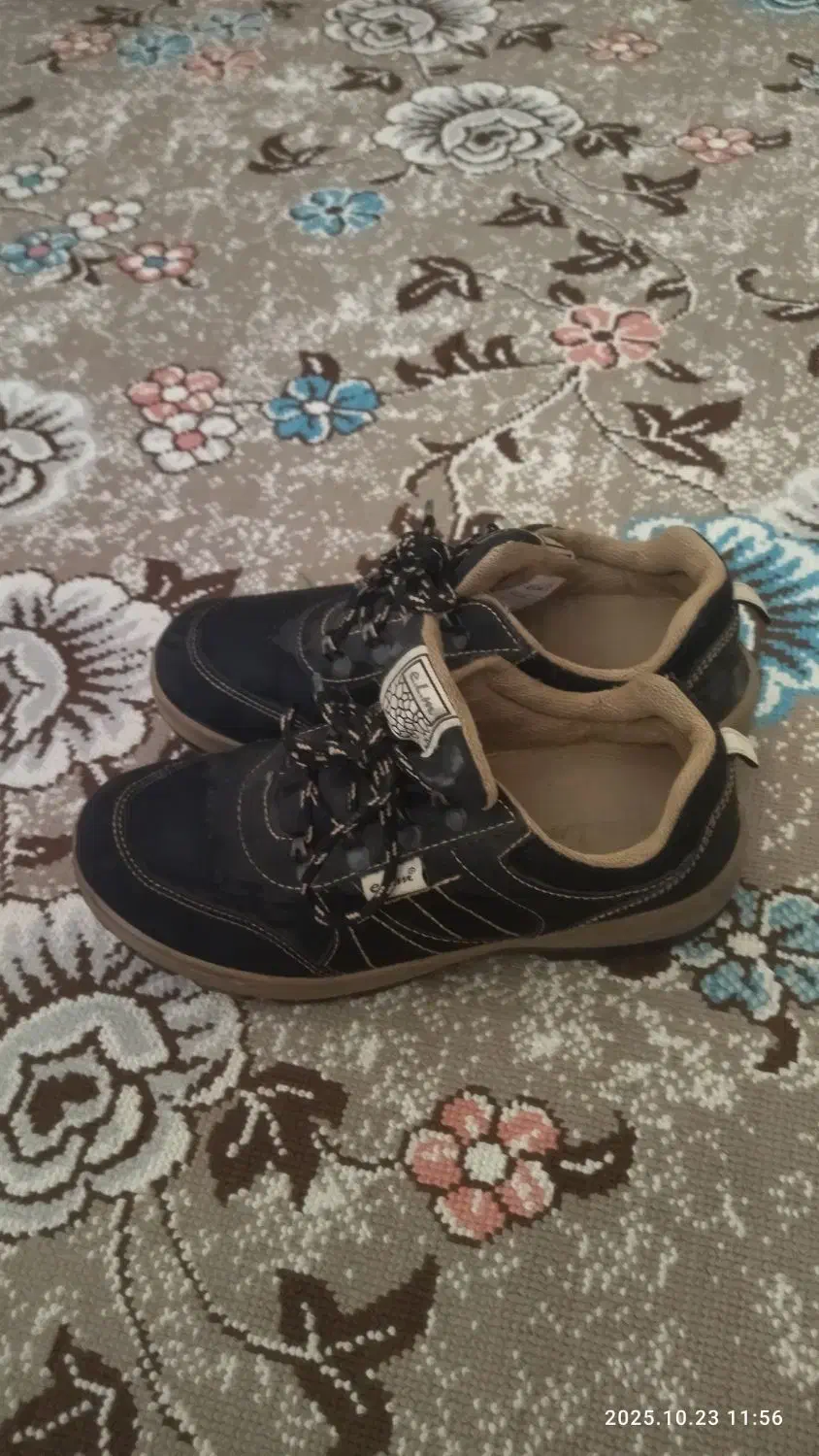 کفش|کیف، کفش، کمربند|مریوان, |دیوار