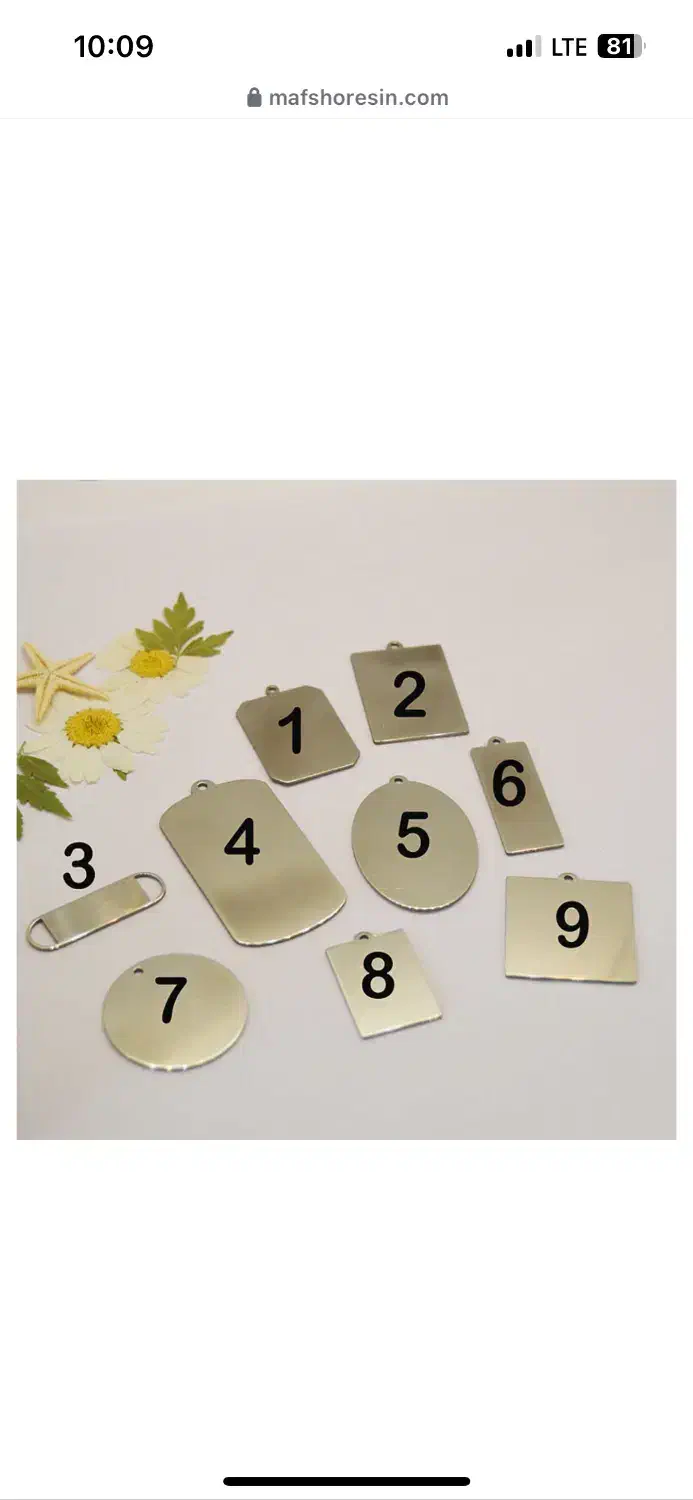 پلاک حکاکی چهره|جواهرات|رشت, دباغیان|دیوار