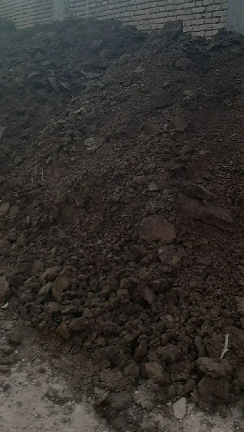 کود گاوی پوسیده|گل و گیاه طبیعی|شهرکرد, |دیوار