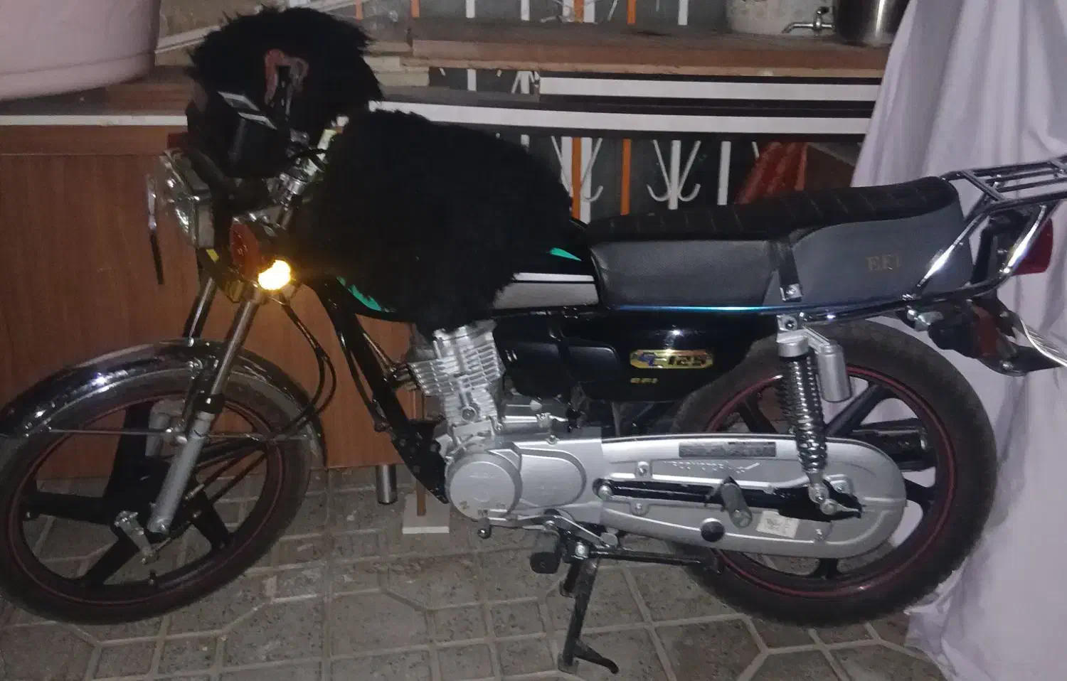 موتور|موتورسیکلت|همدان, |دیوار