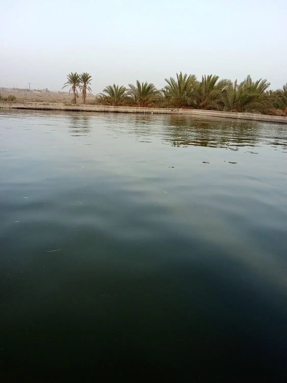 فروش زمین مسکونی|فروش زمین و ملک کلنگی|سراوان, |دیوار