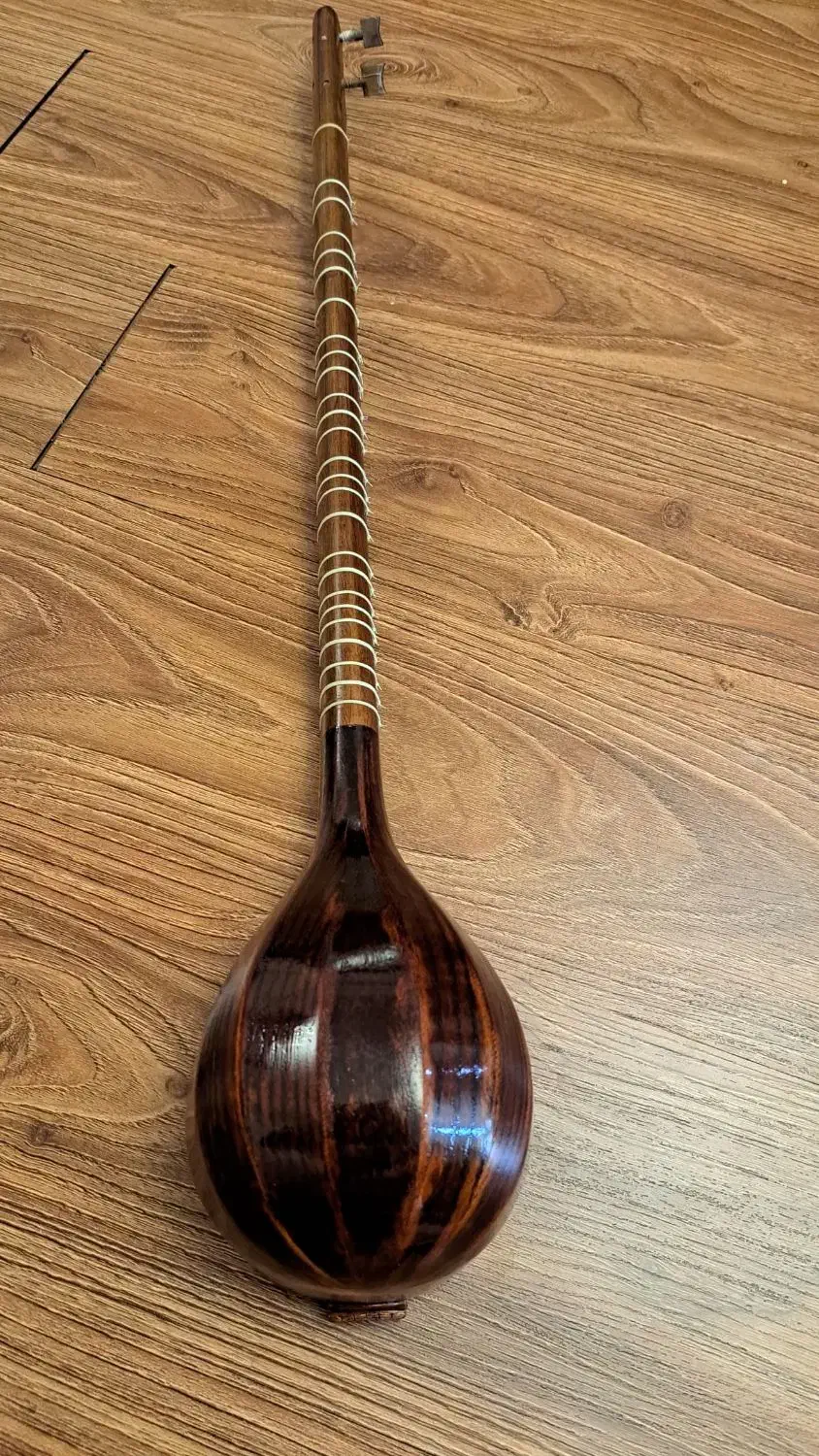 سه تار حرفه ای|سازهای سنتی|تهران, سازمان آب|دیوار