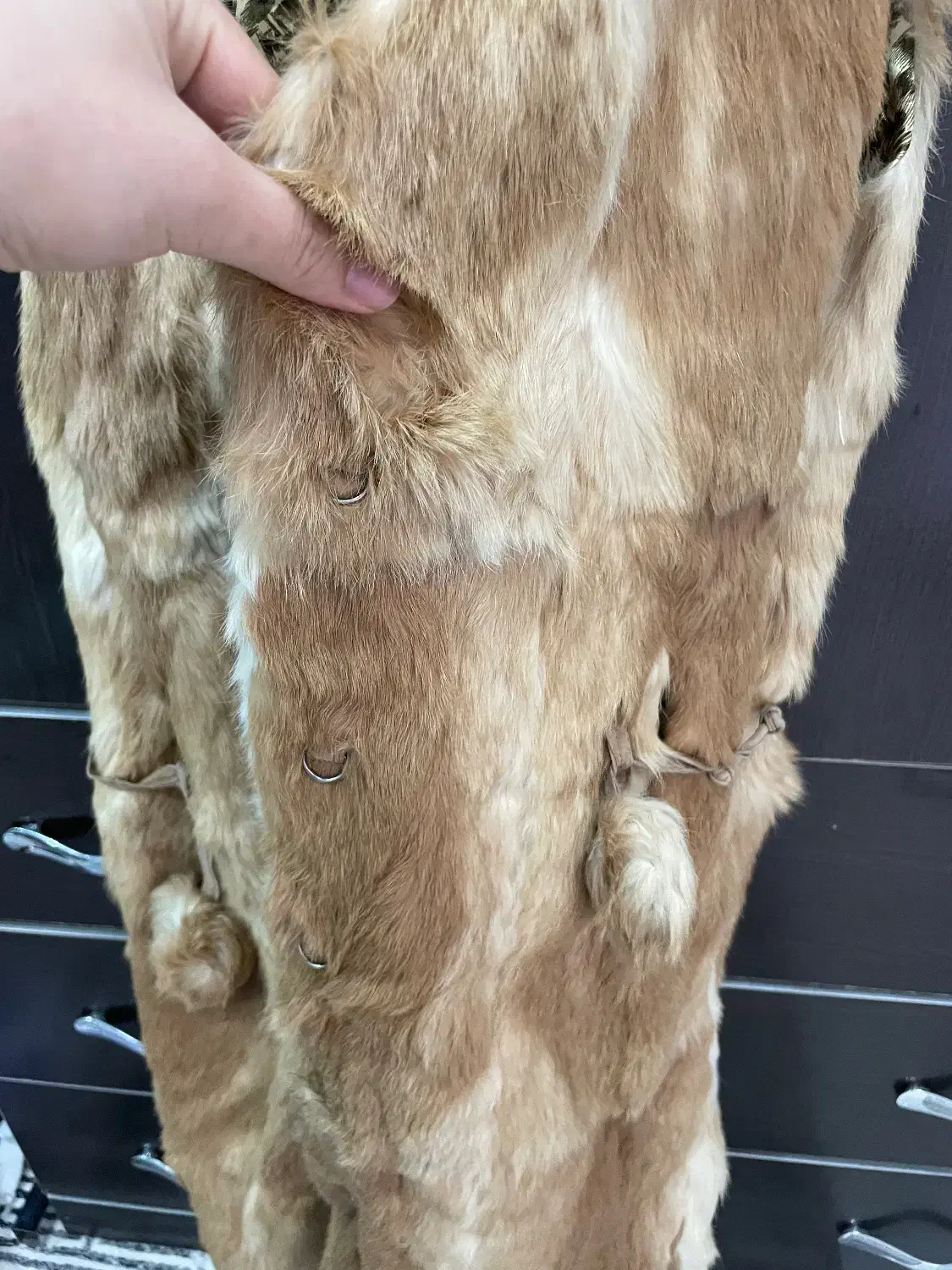 پالتو|لباس|مشهد, نوده|دیوار