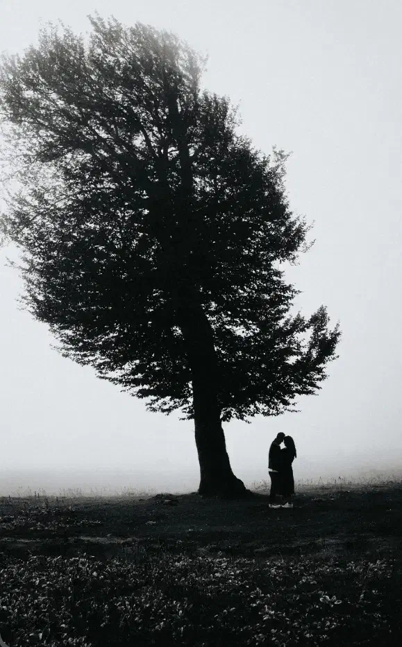 تخفیفات ویژه به مناسبت افتتاحیه شعبه دوم|خدمات پذیرایی، مراسم|تهران, طیب|دیوار