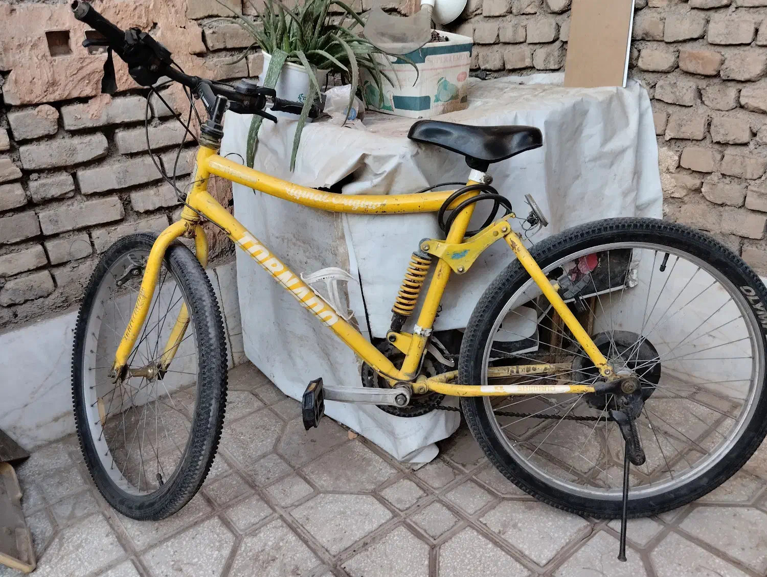 دوچرخه کبری|دوچرخه، اسکیت، اسکوتر|سبزوار, امیر کبیر|دیوار