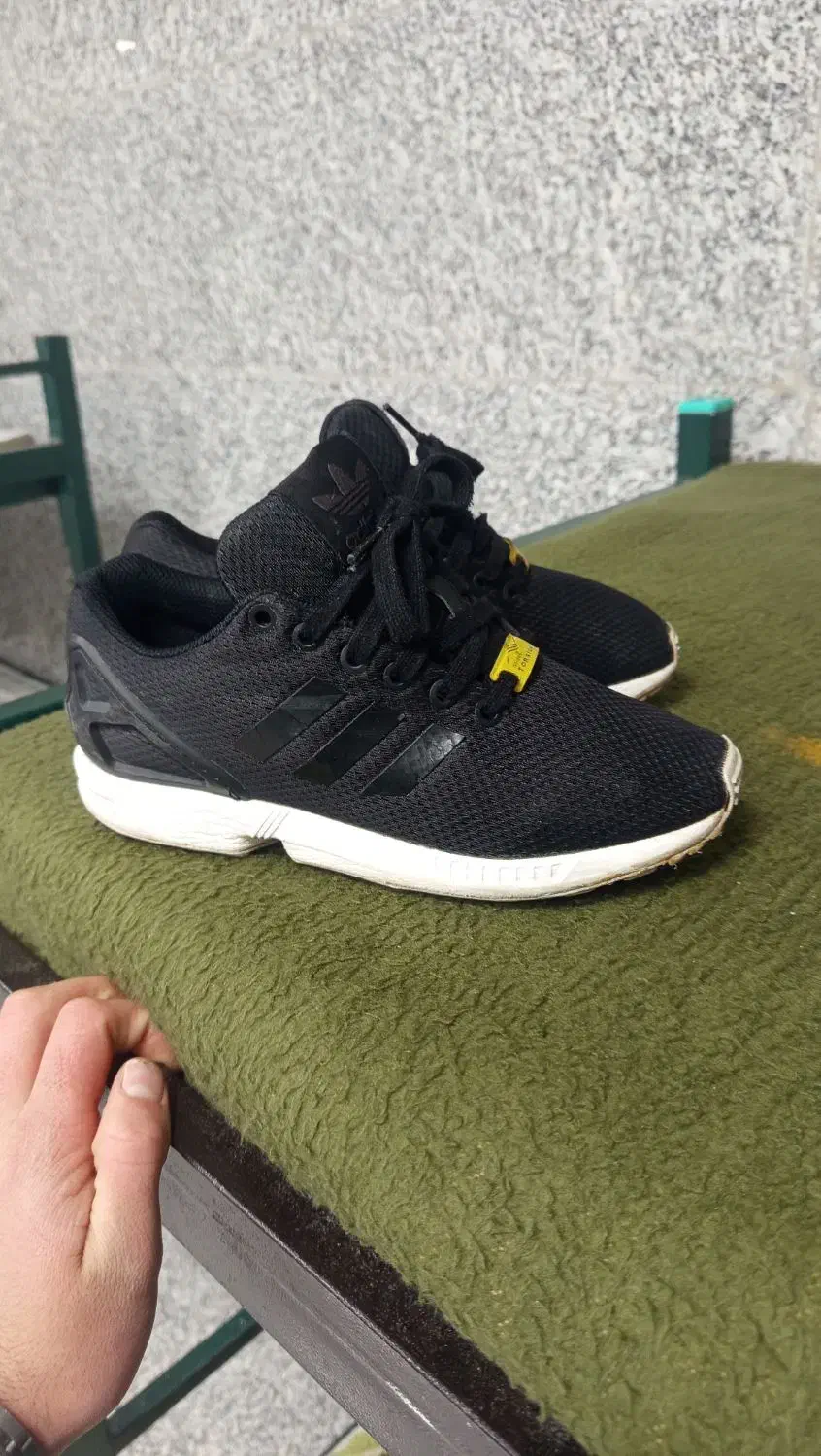 کتونی اورجینال|کیف، کفش، کمربند|خلخال, |دیوار