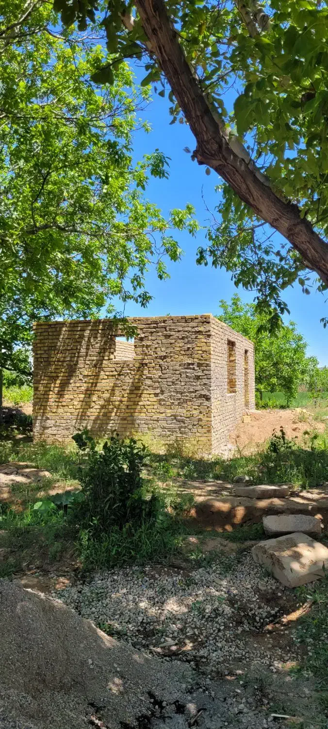 باغ انگور|فروش زمین و ملک کلنگی|ضیاء آباد, |دیوار