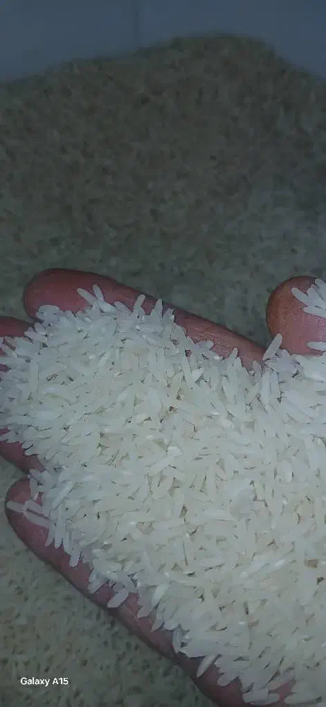 برنج|خوردنی و آشامیدنی|رشت, شالکو|دیوار