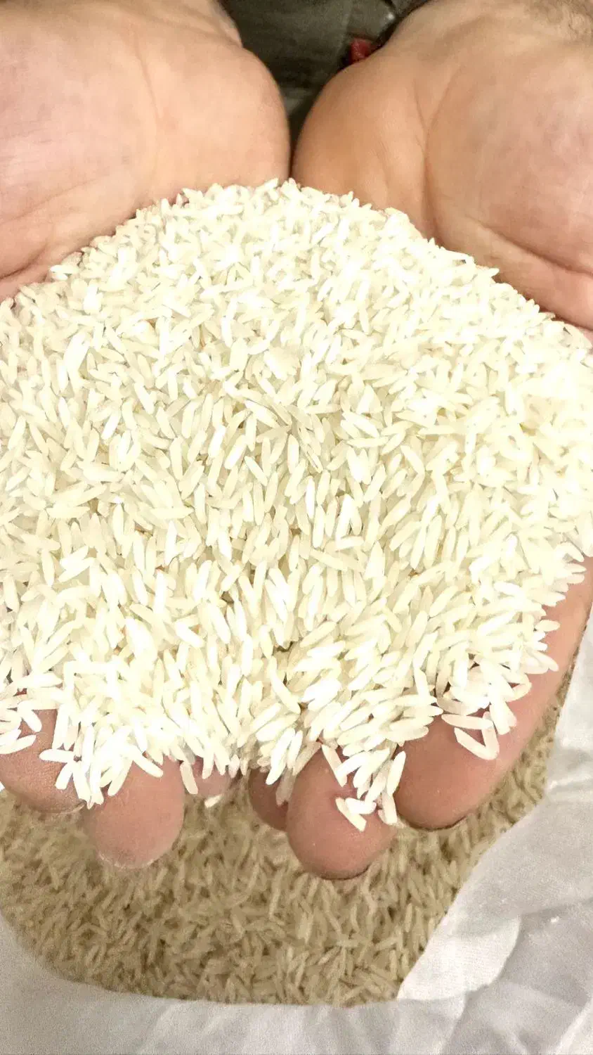 برنج پاکستانی درجه یک اعلا و معطر اقتصادی|خوردنی و آشامیدنی|بهارستان, |دیوار