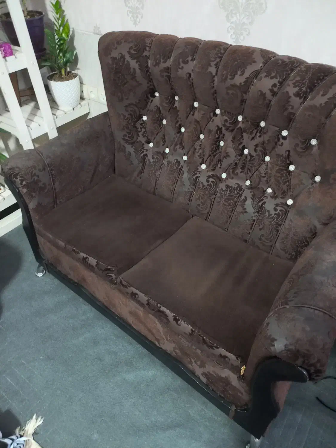 مبل راحتی|مبلمان خانگی و میز عسلی|شیراز, کوشک میدان|دیوار