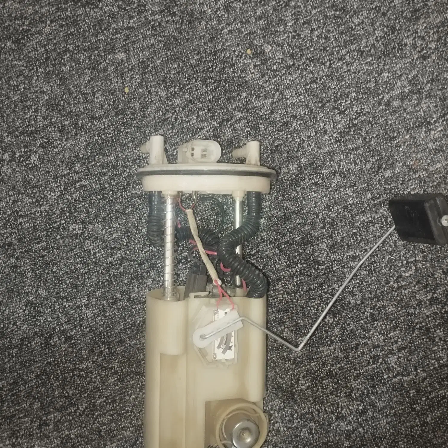 لوازم ماشین زانتیا|قطعات یدکی و لوازم جانبی|لامرد, |دیوار