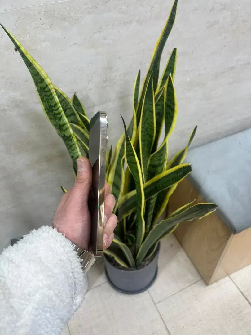 ۱۴ پرو|موبایل|تهران, هوانیروز|دیوار