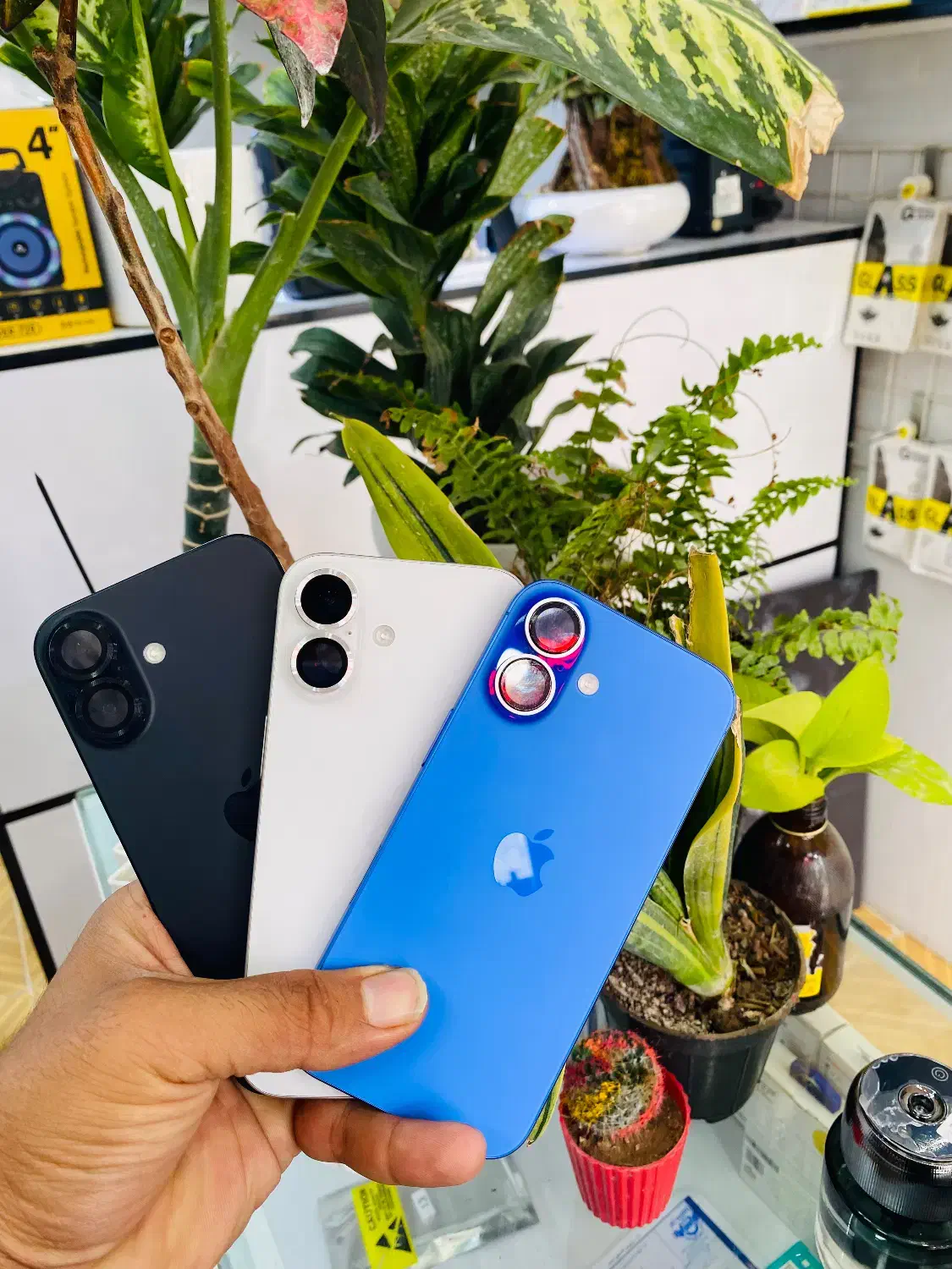 iPhone 16normal|موبایل|مرودشت, ژیان|دیوار