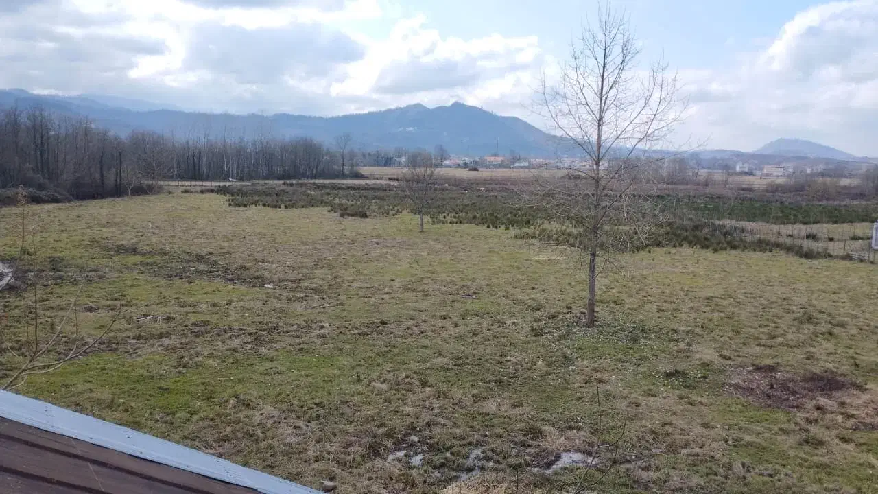 زمین هکتاری کاربری مسکونی و گردشگری لاهیجان|فروش زمین و ملک کلنگی|لاهیجان, بوجایه|دیوار